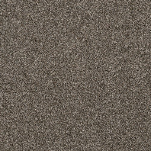 SHAKE IT UP (A) - E9446 - 00706 - Carpet