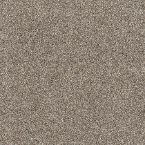 SHAKE IT UP (A) - E9446 - 00101 - Carpet