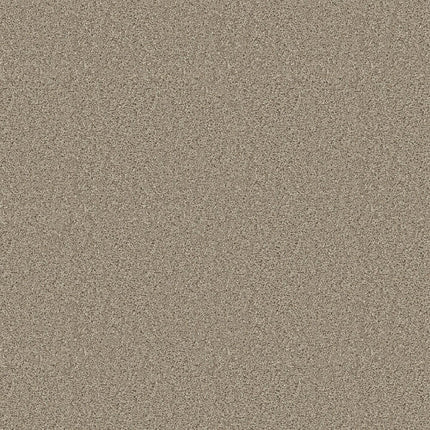 SHAKE IT UP (S) - E9699 - 00112 - Carpet