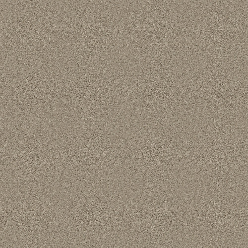 SHAKE IT UP (S) - E9699 - 00112 - Carpet