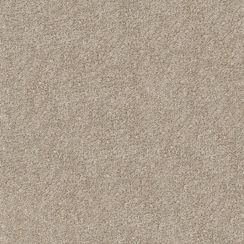 SHAKE IT UP (S) - E9699 - 00111 - Carpet