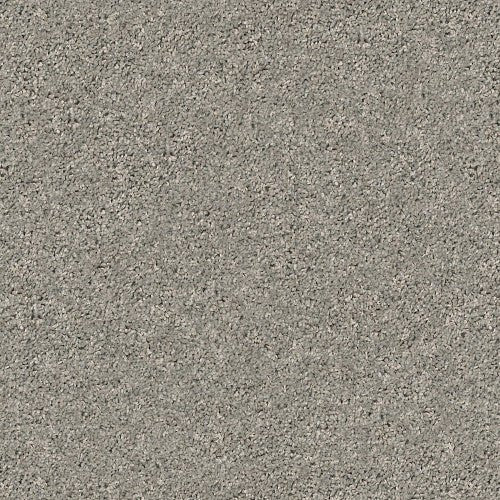 SHAKE IT UP (S) - E9699 - 00510 - Carpet