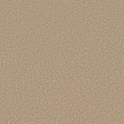 SHAKE IT UP (S) - E9699 - 00210 - Carpet