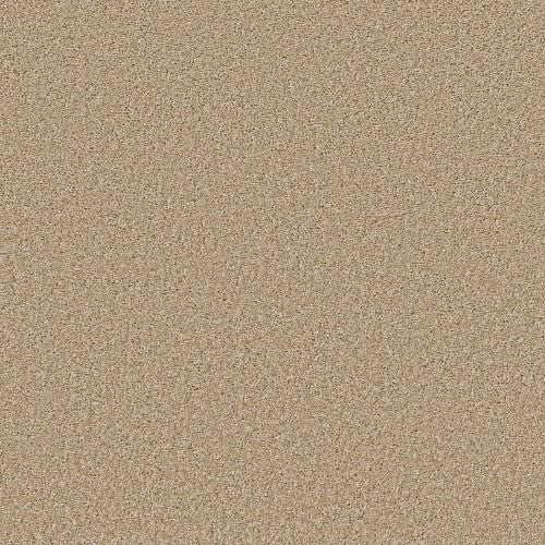 SHAKE IT UP (S) - E9699 - 00210 - Carpet