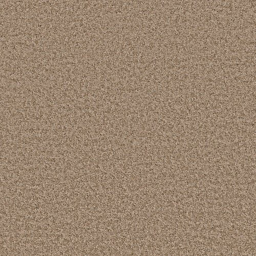 SHAKE IT UP (S) - E9699 - 00710 - Carpet