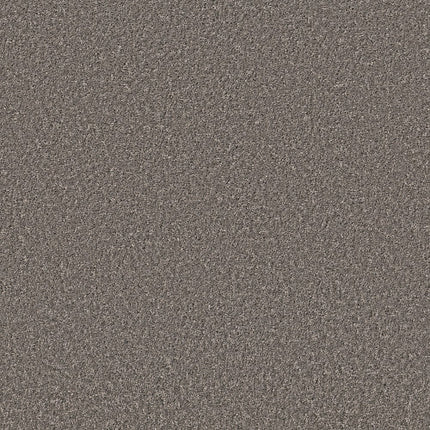 SHAKE IT UP (S) - E9699 - 00513 - Carpet