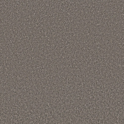 SHAKE IT UP (S) - E9699 - 00513 - Carpet