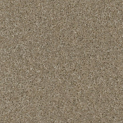 SHAKE IT UP (S) - E9699 - 00732 - Carpet
