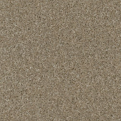 SHAKE IT UP (S) - E9699 - 00732 - Carpet