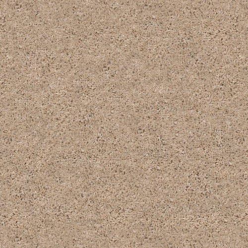 SHAKE IT UP (S) - E9699 - 00110 - Carpet