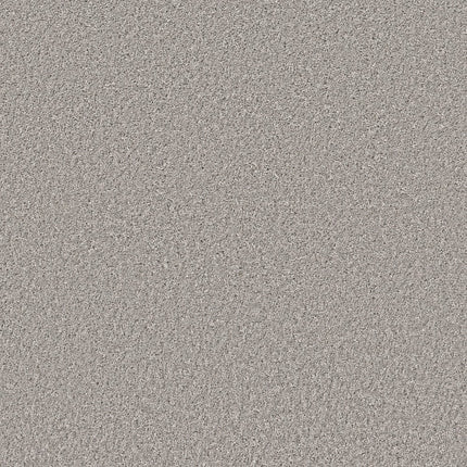 SHAKE IT UP (S) - E9699 - 00512 - Carpet