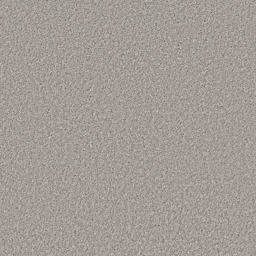 SHAKE IT UP (S) - E9699 - 00512 - Carpet