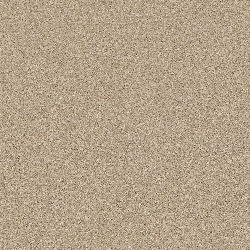 SHAKE IT UP (S) - E9699 - 00211 - Carpet