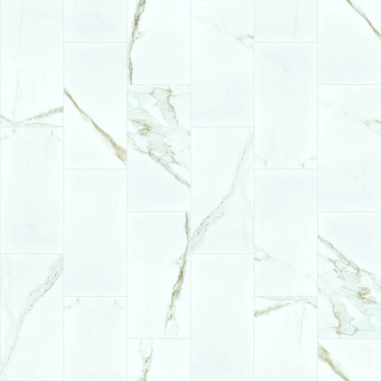 Shaw Floors Casino 12x24 Polish - CS30Z_00121-Tile