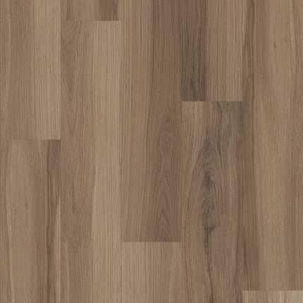 Shaw Floors Endura Plus - 0736V-00154-Luxury Vinyl