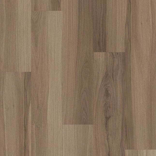 Shaw Floors Endura Plus - 0736V-00154-Luxury Vinyl