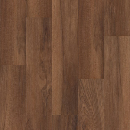 Shaw Floors Endura Plus - 0736V-00820-Luxury Vinyl