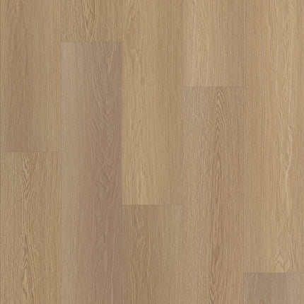 Shaw Floors Endura Plus - 0736V-07087-Luxury Vinyl