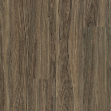 Shaw Floors Endura Plus - 0736V-00150-Luxury Vinyl