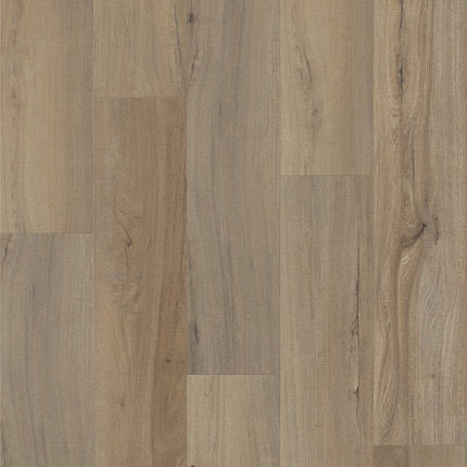 Shaw Floors Endura Plus - 0736V-01056-Luxury Vinyl
