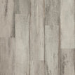 Fresh Driftwood 7