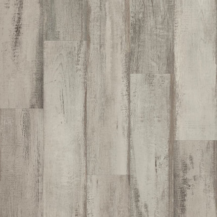 Shaw Floors Endura Plus - 0736V-01160-Luxury Vinyl