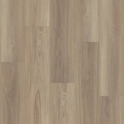 Shaw Floors Endura Plus - 0736V-05091-Luxury Vinyl