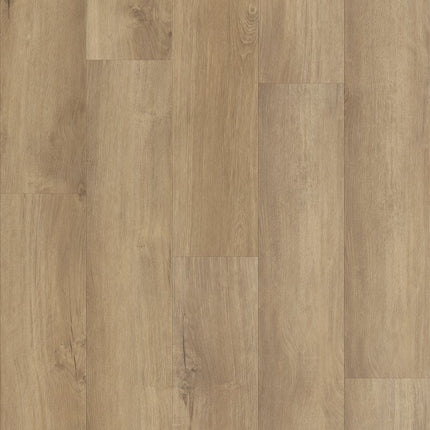 Shaw Floors Endura Plus - 0736V-02014-Luxury Vinyl