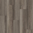 Oyster Oak 7