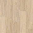 Spalted Maple 7