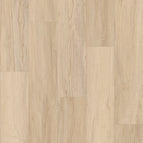 Spalted Maple 7