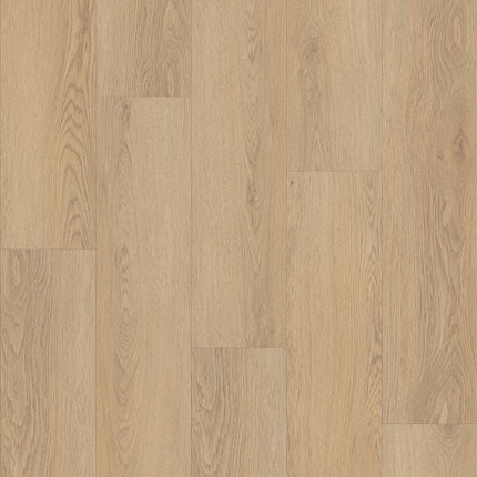 Shaw Floors Endura Plus - 0736V-02013-Luxury Vinyl