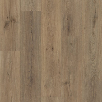 Shaw Floors Endura Plus - 0736V-07089-Luxury Vinyl