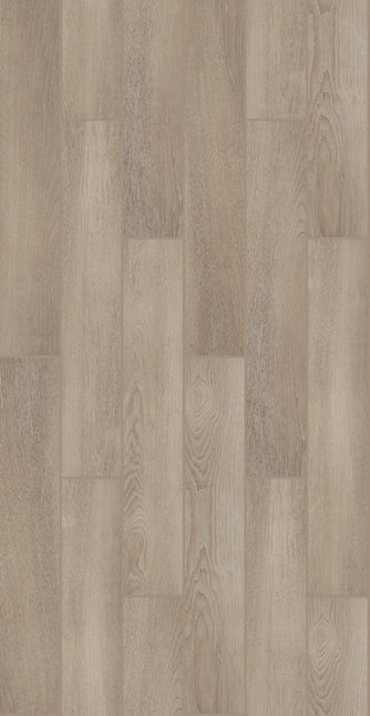 Shaw Floors Euphoria 6x36 - 370TS_00200-Tile