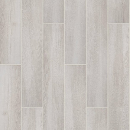 Shaw Floors Euphoria 6x36 - 370TS_00100-Tile