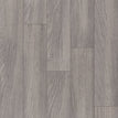 Shadow Grey