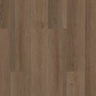Raw Sienna 7