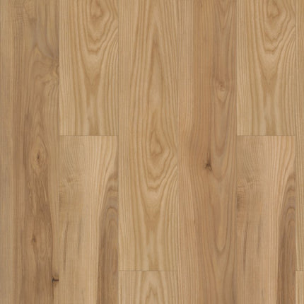 Shaw Floors Paragon HD+Natural Bevel - 3038V-06020-Luxury Vinyl