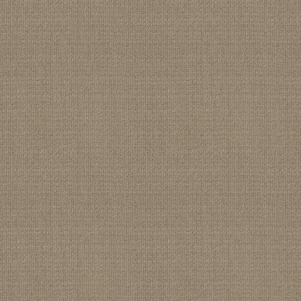 Sierra Vista - 5E824_00178-Carpet