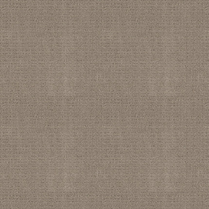 Sierra Vista - 5E824_00770-Carpet