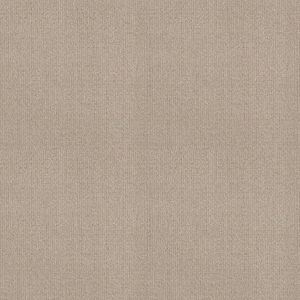 Sierra Vista - 5E824_00177-Carpet