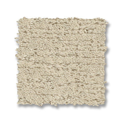 Sketch - ZZ077_00101-Carpet