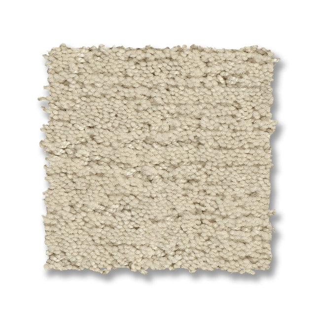 Sketch - ZZ077_00101-Carpet
