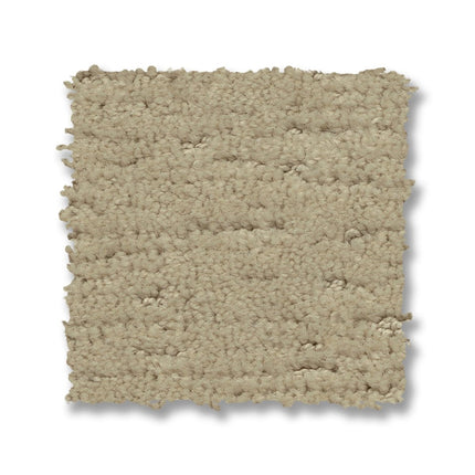 Sketch - ZZ077_00103-Carpet