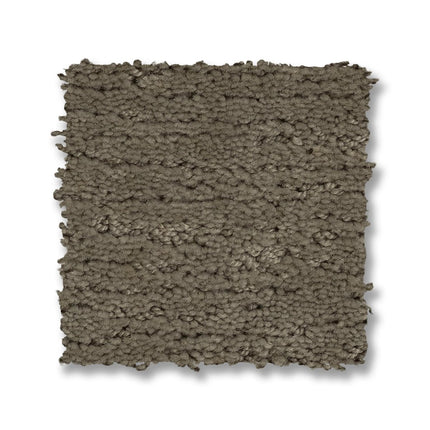 Sketch - ZZ077_00535-Carpet