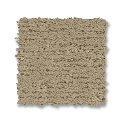 Sketch - ZZ077_00114-Carpet