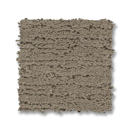 Sketch - ZZ077_00512-Carpet