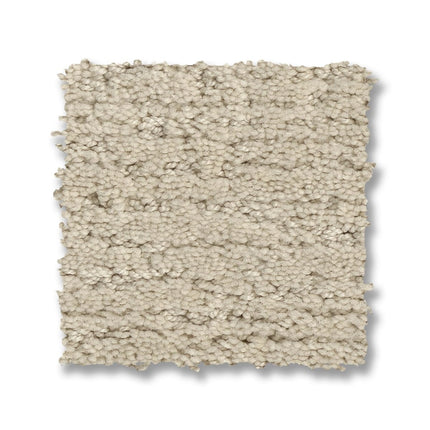 Sketch - ZZ077_00102-Carpet