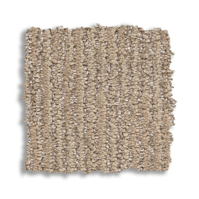 Sneak Peek - ZZ260_00173-Carpet
