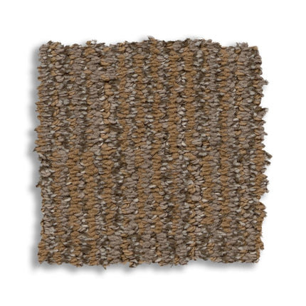 Sneak Peek - ZZ260_00767-Carpet